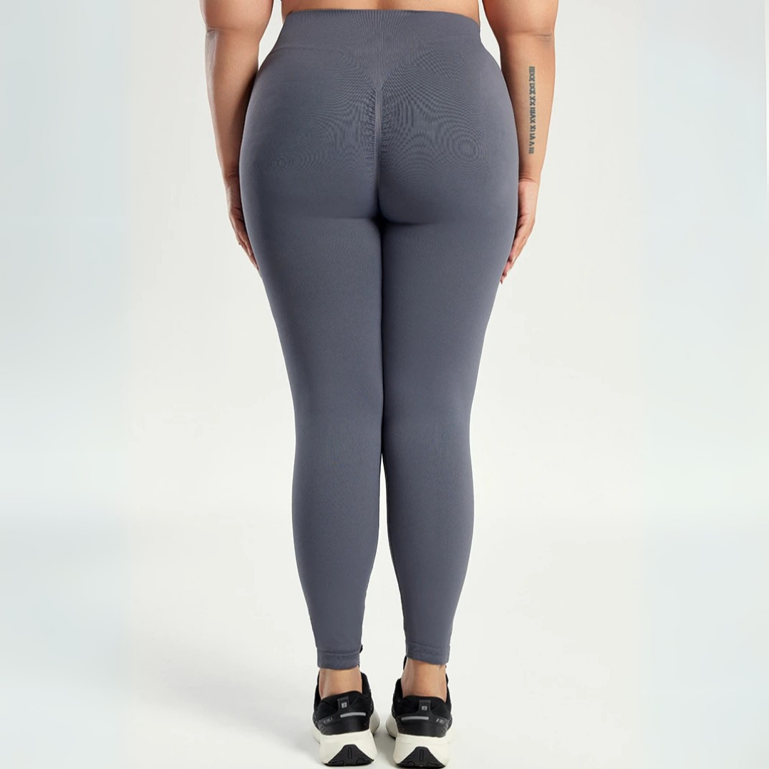 THE DANIRA SEAMLESS LEGGINGS