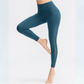 THE DAWN MESH PANEL SEAMLESS LEGGINGS-Leggings-Gym Giants